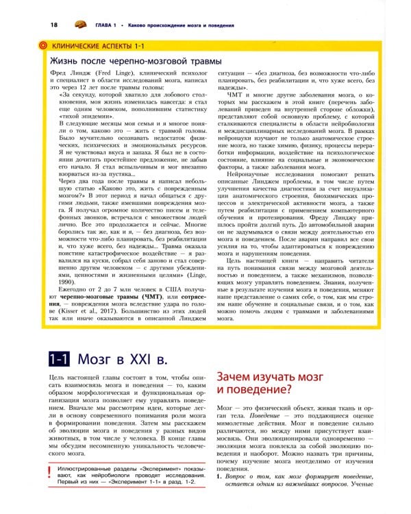 Мозг и поведение. Введение