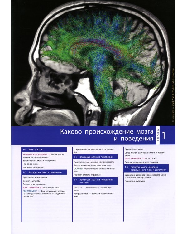 Мозг и поведение. Введение