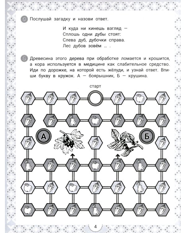 IQ-загадки и цветочные отгадки: 7+