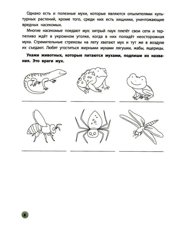 Функциональное чтение. 2 класс