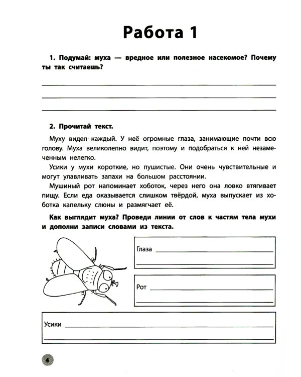 Функциональное чтение. 2 класс