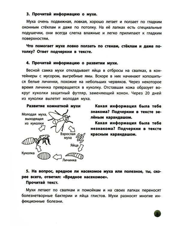 Функциональное чтение. 2 класс