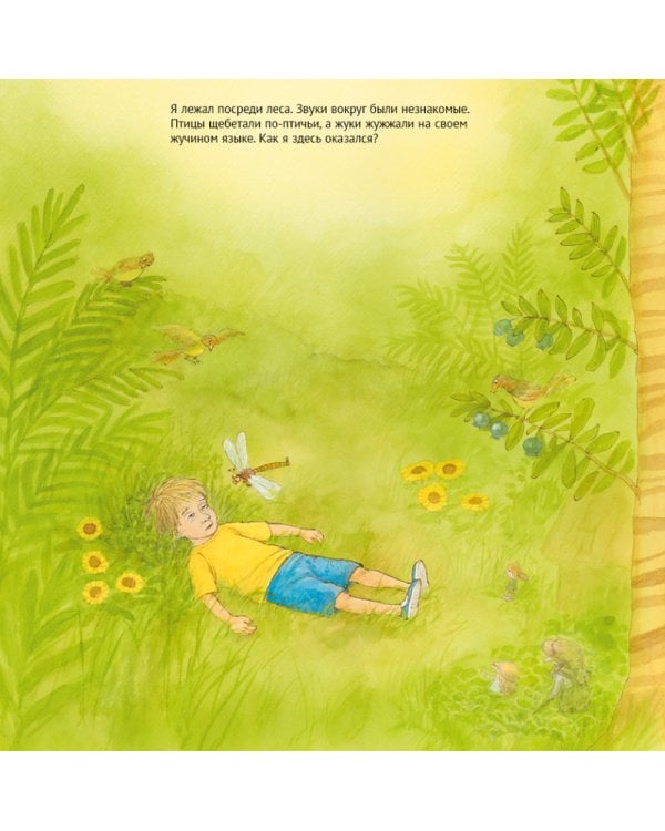 Дорога домой