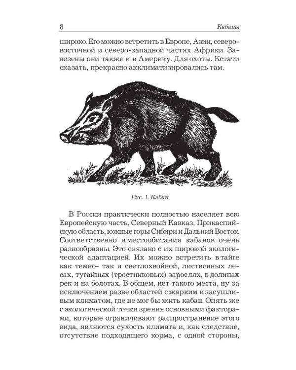 Охота на кабана