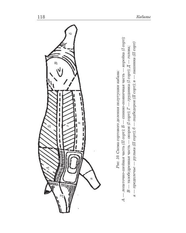 Охота на кабана