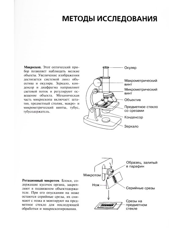 Гистология. Атлас для практических занятий: Учебное пособие