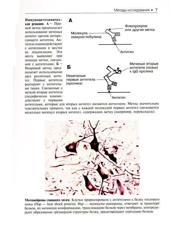 Гистология. Атлас для практических занятий: Учебное пособие