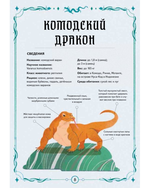 Книга выживших драконов. BIObook А. Толмачева