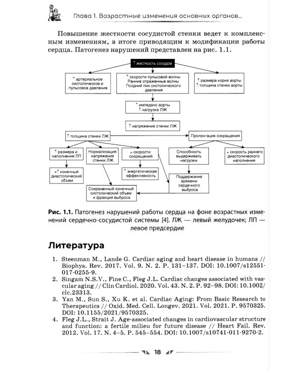 Сердечно-сосудистые средства в гериатрии