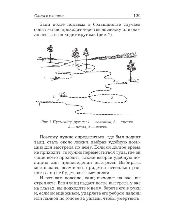 Охота на зайца