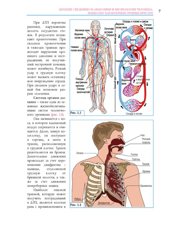 Первая помощь при ДТП 2025