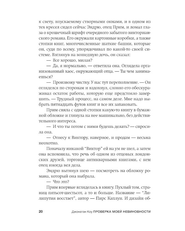 Проверка моей невиновности: роман