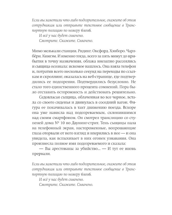 Проверка моей невиновности: роман