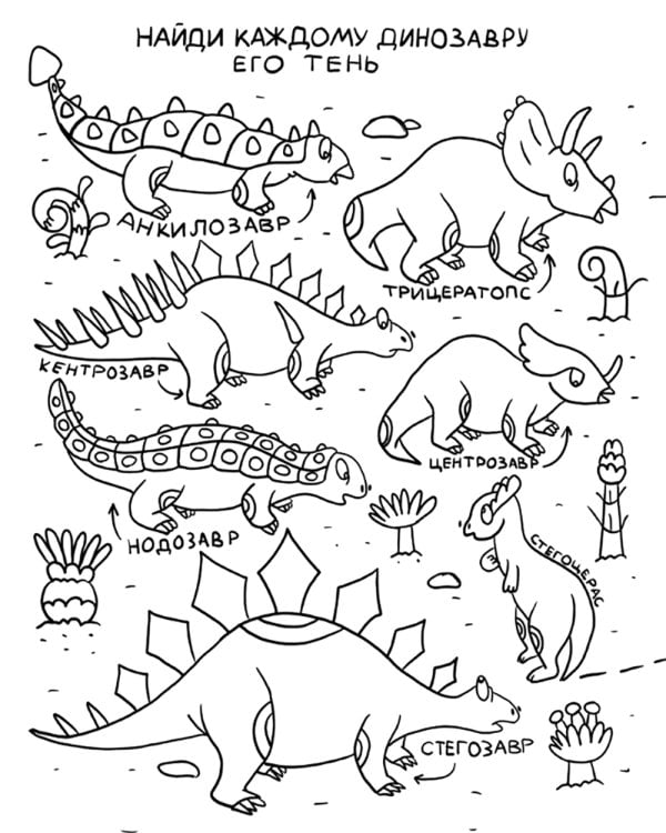 Чемпионы папоротникового леса: для младшего школьного возраста