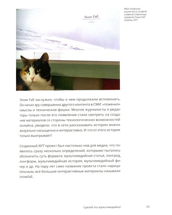 Научись уже делать картинки! «Учебник» маминой подруги, или Книга-презентация. Визуальные принципы мультимедиа для начинающих