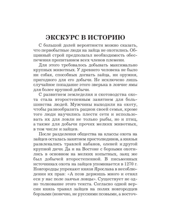 Охота на зайца