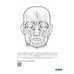 Тактика врача-невролога: практическое руководство. 2-е изд., перераб. и доп