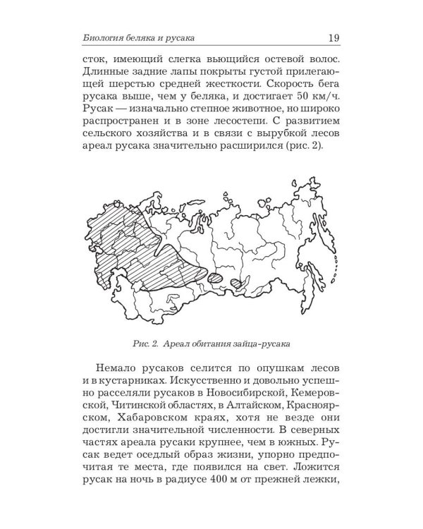 Охота на зайца