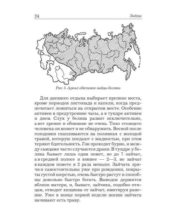 Охота на зайца