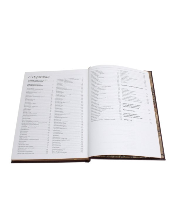 Чудотворные иконы Пресвятой Богородицы (кожа, вишневая, золот. обрез, тиснен.)