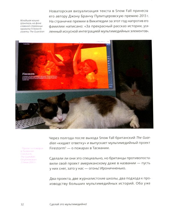 Научись уже делать картинки! «Учебник» маминой подруги, или Книга-презентация. Визуальные принципы мультимедиа для начинающих