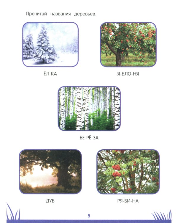 Энциклопедия дошкольника: 5-6 лет