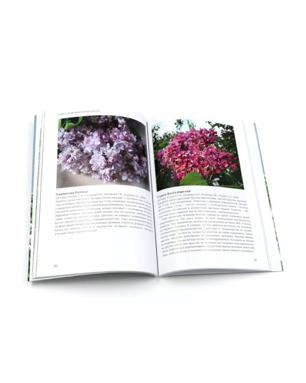 Сирень памяти; Сирень Победы (комплект из 2-х книг)