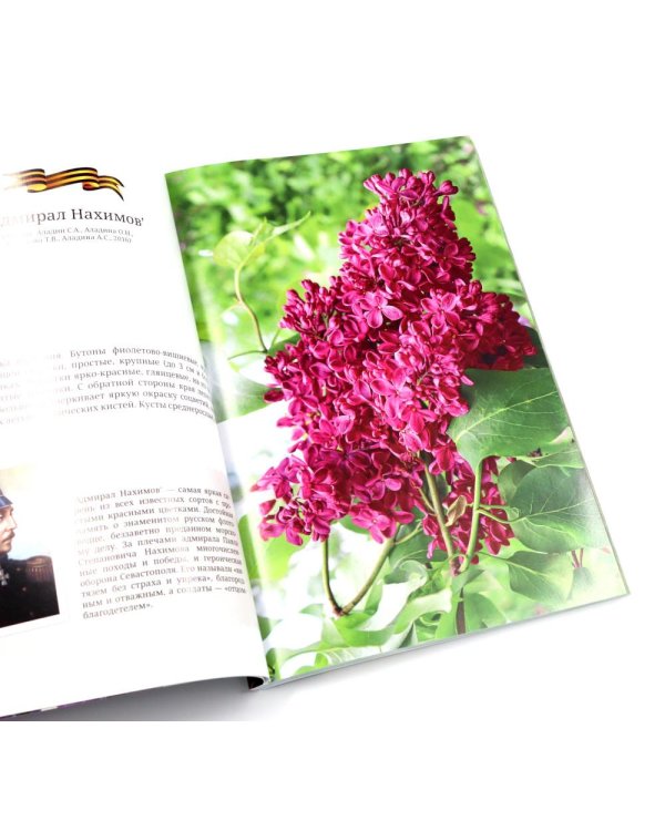 Сирень памяти; Сирень Победы (комплект из 2-х книг)