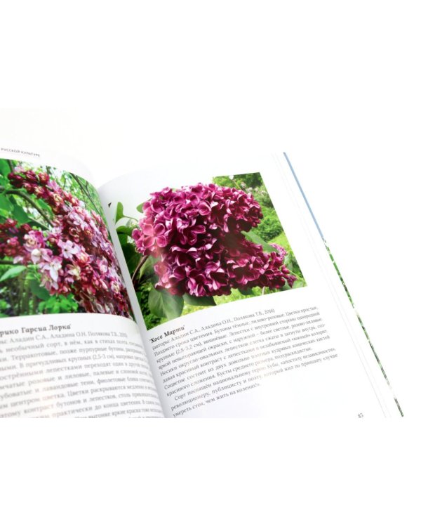 Сирень памяти; Сирень Победы (комплект из 2-х книг)