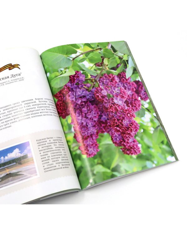 Сирень памяти; Сирень Победы (комплект из 2-х книг)