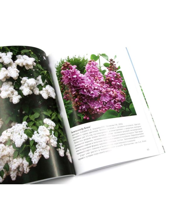 Сирень памяти; Сирень Победы (комплект из 2-х книг)