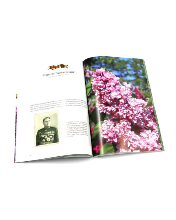 Сирень памяти; Сирень Победы (комплект из 2-х книг)