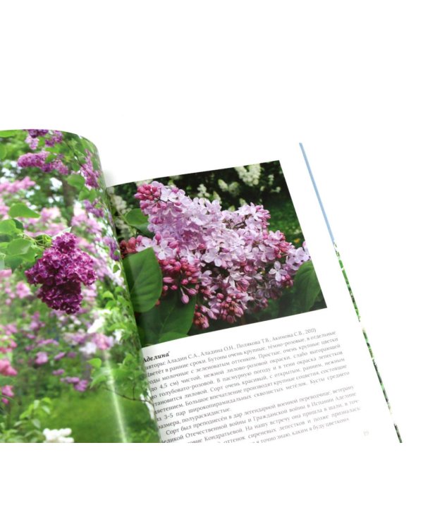 Сирень памяти; Сирень Победы (комплект из 2-х книг)