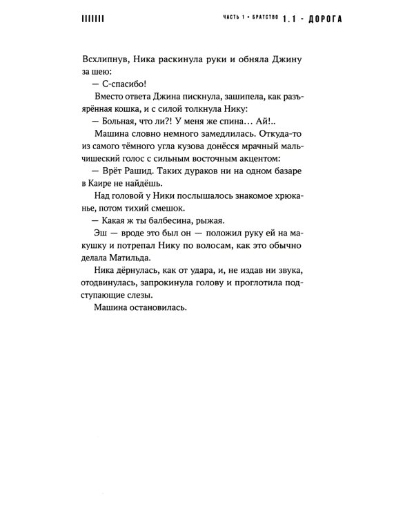 Фурия: роман