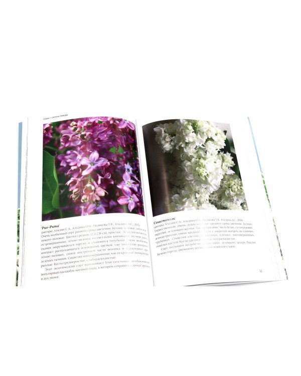 Сирень памяти; Сирень Победы (комплект из 2-х книг)