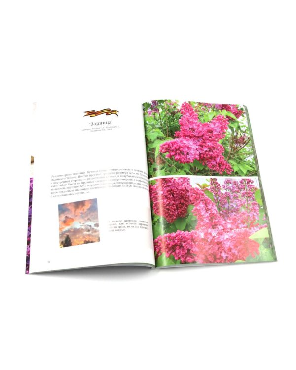 Сирень памяти; Сирень Победы (комплект из 2-х книг)