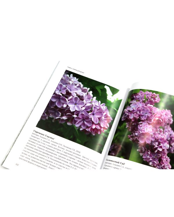 Сирень памяти; Сирень Победы (комплект из 2-х книг)