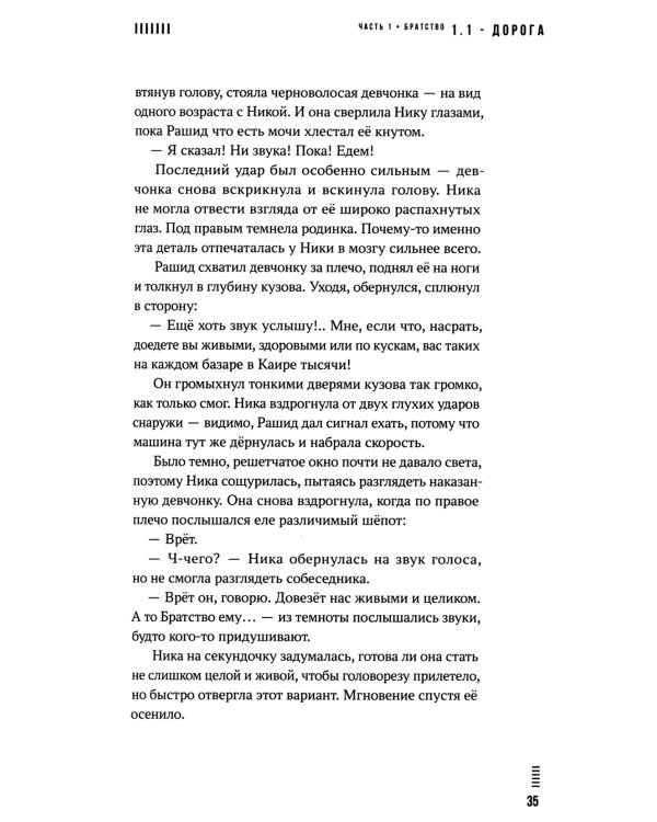 Фурия: роман