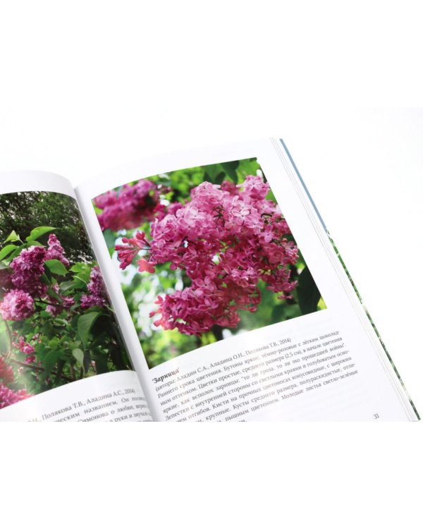 Сирень памяти; Сирень Победы (комплект из 2-х книг)