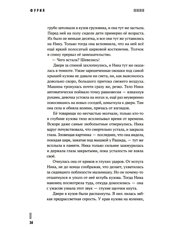 Фурия: роман