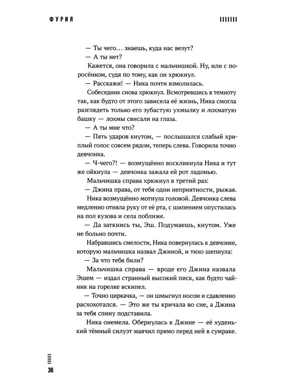 Фурия: роман