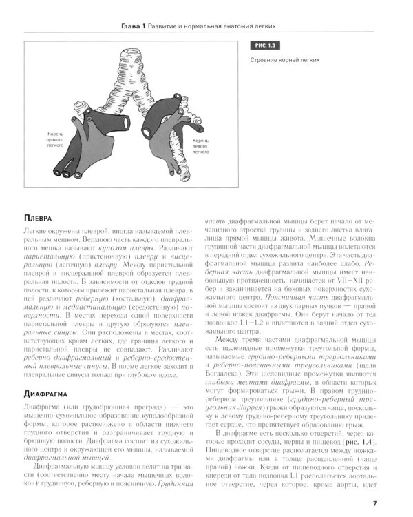 Рентгенодиагностика заболеваний легких у новорожденных и недоношенных детей: Учебное пособие
