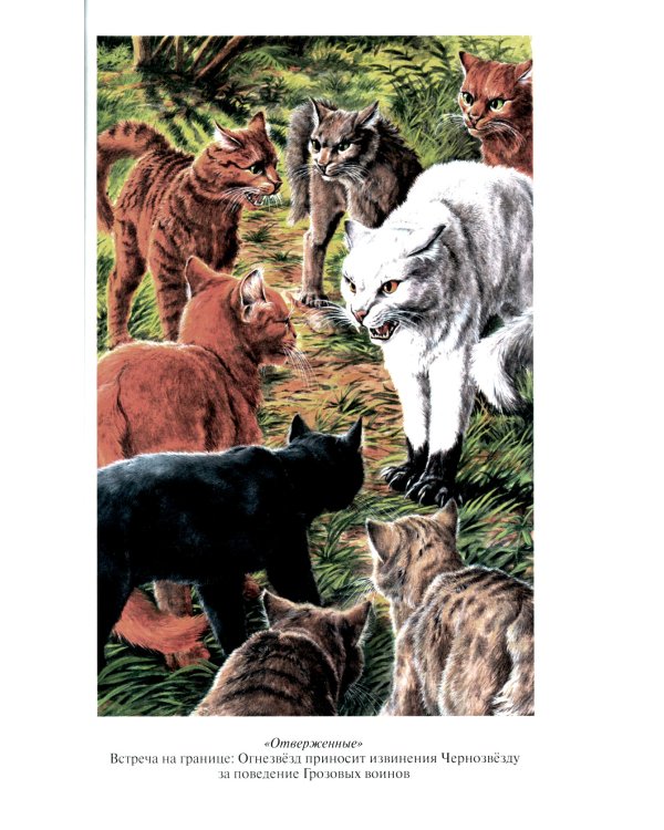 Коты-воители. Отверженные. Затмение