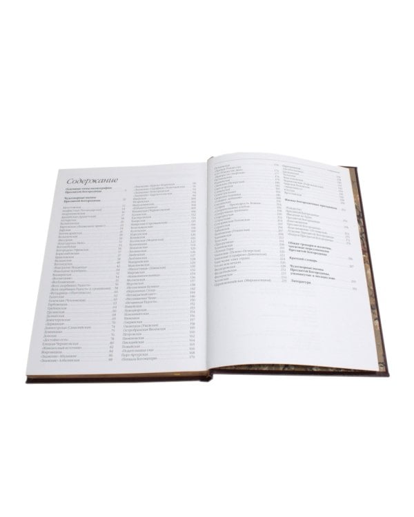 Чудотворные иконы Пресвятой Богородицы  (кожа, гранатовая, золотой обрез, тиснен.)