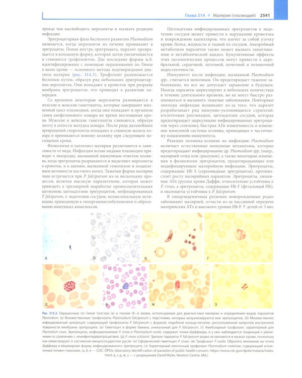 Педиатрия по Нельсону. В 4 т. Т. 3