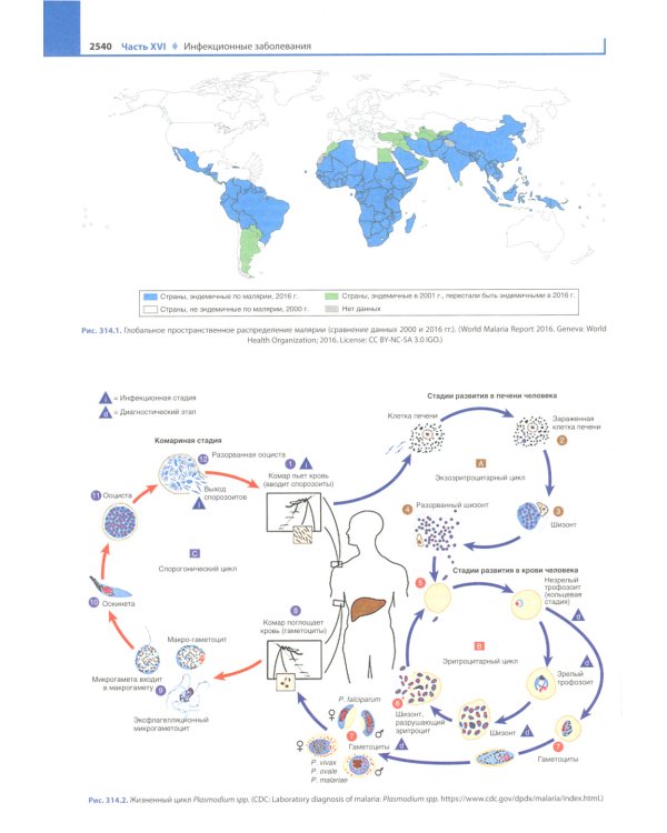 Педиатрия по Нельсону. В 4 т. Т. 3
