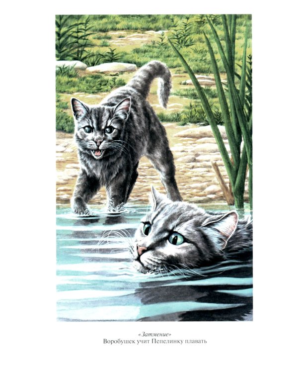 Коты-воители. Отверженные. Затмение