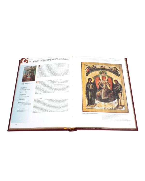 Чудотворные иконы Пресвятой Богородицы  (кожа, гранатовая, золотой обрез, тиснен.)