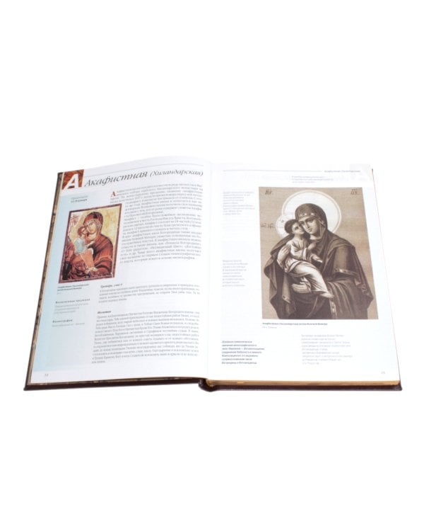 Чудотворные иконы Пресвятой Богородицы  (кожа, гранатовая, золотой обрез, тиснен.)