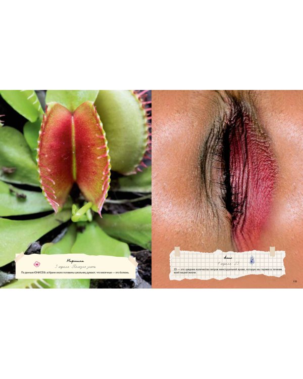 My Dear Vagina: Интимный дневник 365 вульв